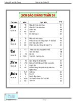 GIAO AN LOP 3 T 30(VU LQ)