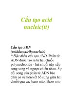 Cấu tạo acid nucleic(tt) ppsx