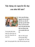 Xây dựng các nguyên tắc dạy con như thế nào? doc