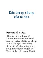 Đặc trưng chung của tế bào pps