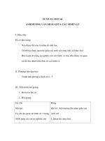 Tài liệu Sinh học 9 - NHÂN TỐ SINH THÁI LÊN ĐỜI SỐNG SINH VẬTẢNH HƯỞNG LẪN NHAU GIỮA CÁC SINH VẬT potx