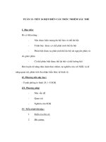 Giáo án Sinh học 9 - ĐỘT BIẾN CẤU TRÚC NHIỄM SẮC THỂ pot