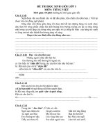 Đề thi HSG môn Tiếng Việt+đáp án (khối 3) Rất hay