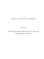 Báo cáo “Khả năng vận dụng mô hình công ty mẹ - công ty con trong nền kinh tế Việt Nam” pdf