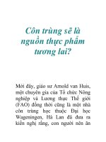 Côn trùng sẽ là nguồn thực phẩm tương lai? docx