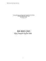 Báo cáo quy hoạch toán học potx