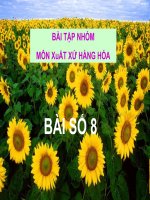 Bài tập nhóm môn xuất xứ hàng hóa - bài số 8 ppsx