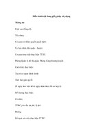 Điều chỉnh nội dung giấy phép xây dựng ppsx