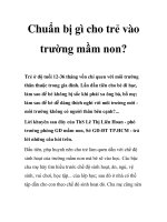 Chuẩn bị gì cho trẻ vào trường mầm non? pps