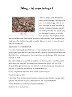 Đông y trị mụn trứng cá pdf