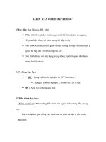 Giáo án Sinh học 6 - CÂY CÓ HÔ HẤP KHÔNG ? pot