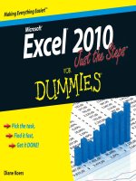 Excel 2010 just the steps for dummies ppsx