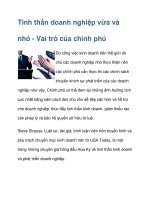 Tinh thần doanh nghiệp vừa và nhỏ docx
