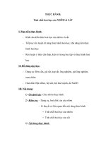 Tài liệu hoá 9 - THỰC HÀNH: Tính chất hoá học của NHÔM & SẮT docx