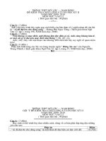 đề thi giữa học kì II- 2010