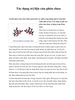 Tác dụng trị liệu của phèn chua ppsx