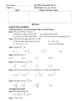 de toan ky ii nam 2010