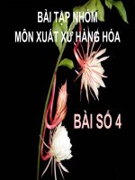 Bài tập nhóm môn xuất xứ hàng hóa - bài số 4 pptx