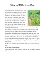 Chứng phế khí hư trong đông y pdf