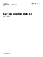 SAS Data Integration Studio 3.3- P1 docx