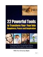 22 Powerful Tools to Transform Your Fear Into Happiness, Peace and Inspiration ppsx