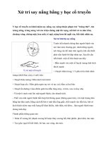 Xử trí say nắng bằng y học cổ truyền pps