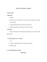 Giáo án Hoá 9 - MỘT SỐ MUỐI QUAN TRỌNG docx