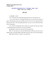 Đề kiểm tra học kì II - ngữ văn 9