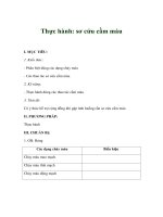 Giáo án sinh học 8 - Thực hành: sơ cứu cầm máu pptx