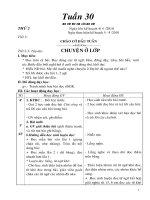 GIÁO ÁN LỚP 1TUẦN 30( CKTKN)