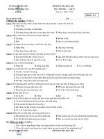 De kt HKI  Sinh hoc11(09-10)