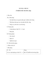 Tài liệu Sinh học 9 - Ô NHIỄM MÔI TRƯỜNG (tiếp) pot