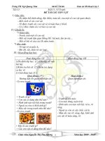 my thuat 3 - tuan 31 ( co hinh )