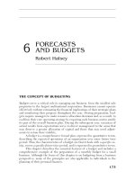 PORTABLE MBA IN FINANCE AND ACCOUNTING CHAPTER 6 potx