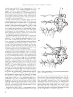 Improved Outcomes in Colon and Rectal Surgery part 6 potx