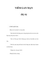 VIÊM GAN MẠN (Kỳ 6) pot