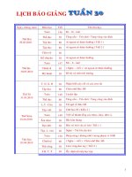 Giáo án ló­p 2 tuần 30(CKT)