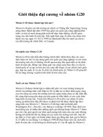 Giới thiệu đại cương về nhóm G20 pptx