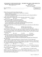 Đề học kỳ 2 nâng cao