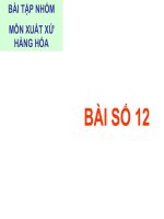 BÀI TẬP NHÓM MÔN XUẤT XỨ HÀNG HÓA (BÀI SỐ 12) docx