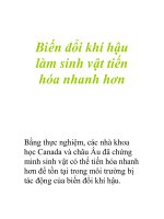 Biến đổi khí hậu làm sinh vật tiến hóa nhanh hơn pot