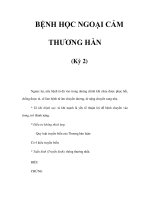 BỆNH HỌC NGOẠI CẢM THƯƠNG HÀN (Kỳ 2) pptx