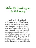 Nhắm tới chuyển gene đa tính trạng pdf