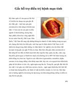 Gấc hỗ trợ điều trị bệnh mạn tính pptx