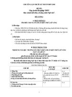 DẠY ON THI TN THPT THEO CHUẨN KIẾN THỨC KĨ NĂNG MÔN NGỮ VĂN 2010.