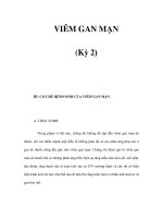 VIÊM GAN MẠN (Kỳ 2) pps