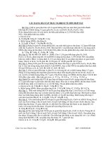 Các bài tập trắc nghiệm về hỗn hợp sắt pdf