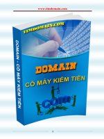domain cỗ máy kiếm tiền