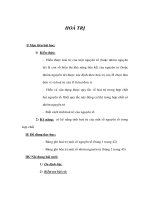 Giáo án Hoá 8 - HOÁ TRỊ docx
