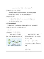 Giáo án Sinh học 6 - CẤU TẠO TRONG CỦA PHIẾN LÁ ppt